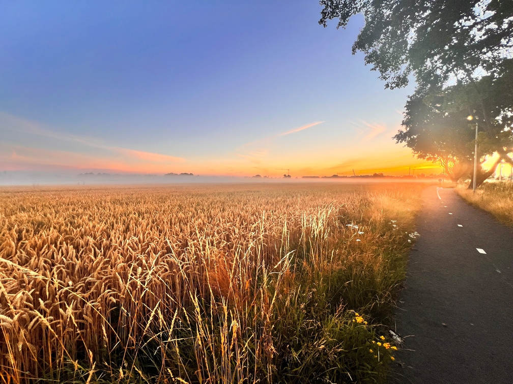 Foto: 'Buitengebied'.